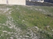 Satılır 4 sot torpaq Binəqədi