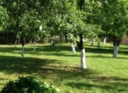 Satılır 20 sot torpaq Qəbələ