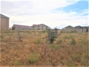 Satılır 25 sot torpaq Badamdar