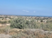 Satılır 100 sot torpaq Ləhic Bağları