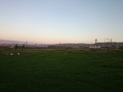 Satılır 100 sot torpaq Hökməli