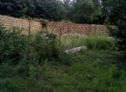 Satılır 4 sot torpaq Qəbələ