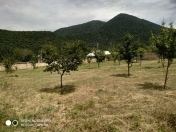 Satılır 7 sot torpaq Qəbələ