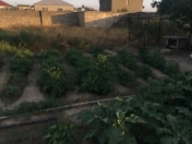 Satılır 125 sot torpaq Xaçmaz