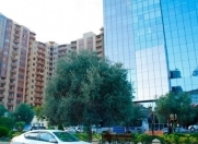 Satılır 76 sot torpaq Şah İsmayıl Xətai m.