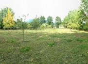 Satılır 28 sot torpaq Qəbələ