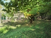 Satılır 65 sot torpaq Qəbələ