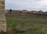 Satılır 5 sot torpaq Novxanı