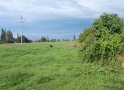 Satılır 6000 sot torpaq Beyləqan