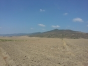 Satılır 4500 sot torpaq İsmayıllı