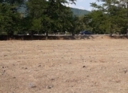 Satılır 25 sot torpaq Zaqatala