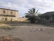 Satılır 12 sot torpaq Buzovna