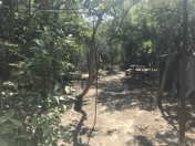 Satılır 3 sot torpaq Qaraçuxur