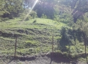 Satılır 61 sot torpaq Quba