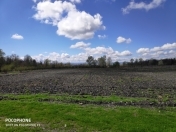 Satılır 600 sot torpaq Zaqatala