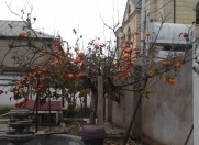 Satılır 6 otaqlı 100 m2 həyət evi Həzi Aslanov