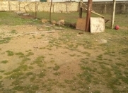Satılır 4 sot torpaq Qala