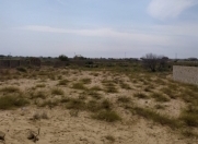 Satılır 12 sot torpaq Nardaran