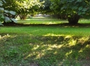 Satılır 70 sot torpaq Balakən