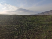 Satılır 820 sot torpaq İsmayıllı