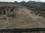 Satılır 100 sot torpaq Məhəmmədli