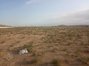 Satılır 100 sot torpaq Novxanı