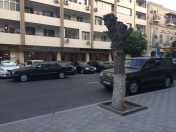 İcarəyə verilir 3 otaqlı 50 m2 ofis Elmlər Akademiyası m.