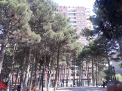 Satılır 4 otaqlı 153 m2 yeni tikili 20 yanvar m.
