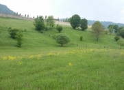 Satılır 5 sot torpaq Quba