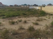 Satılır 24 sot torpaq Nardaran