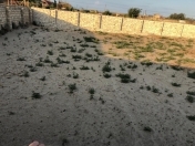 Satılır 6 sot torpaq Nardaran