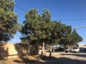 Satılır 2 sot torpaq Y.Ramana