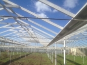 Satılır 50 sot torpaq Salyan