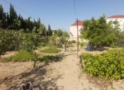 Satılır 15 sot torpaq Novxanı