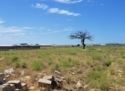 Satılır 500 sot torpaq Zirə