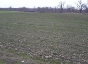 Satılır 362 sot torpaq Şamaxı