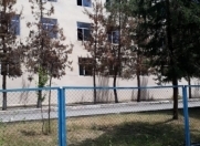 Satılır 6 sot torpaq Qəbələ