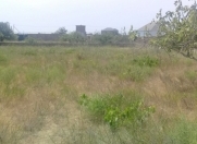 Satılır 9 sot torpaq Sumqayıt