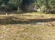 Satılır 14 sot torpaq Xaçmaz