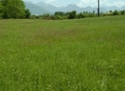 Satılır 76 sot torpaq Qəbələ