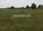 Satılır 200 sot torpaq Qusar