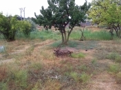 Satılır 24 sot torpaq Novxanı