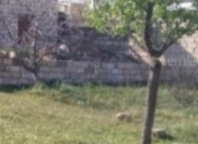 Satılır 2 sot torpaq Hökməli