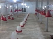 Satılır 6 otaqlı 5200 m2 obyekt 28 may