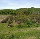 Satılır 10 sot torpaq Zaqatala