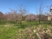 Satılır 3 otaqlı 1200 m2 həyət evi Xaçmaz