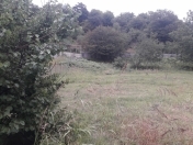 Satılır 10 sot torpaq İsmayıllı