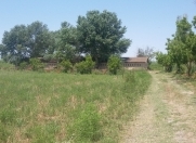 Satılır 1 otaqlı 400 m2 obyekt Sabirabad