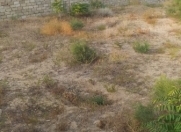 Satılır 25 sot torpaq Nardaran