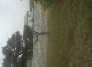 Satılır 5 sot torpaq Şağan